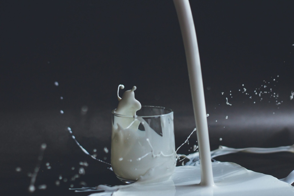Heumilch | Vollmilch 1L | Mattigtaler | Kakistl