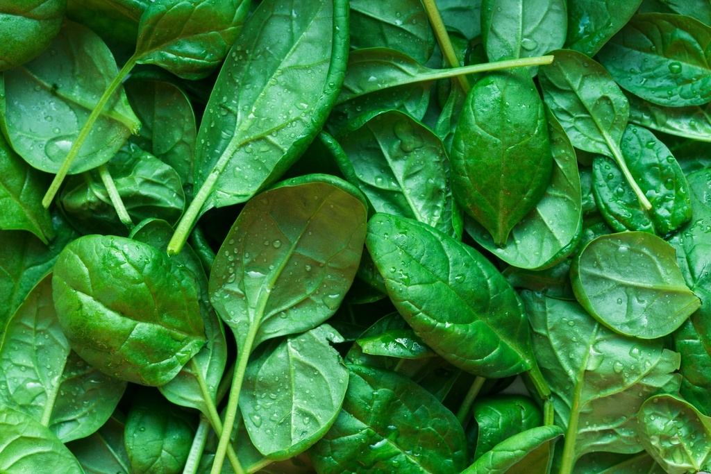 Spinat