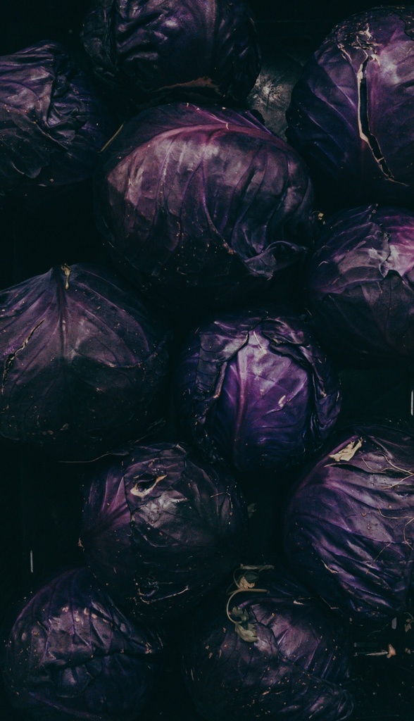 Rotkraut