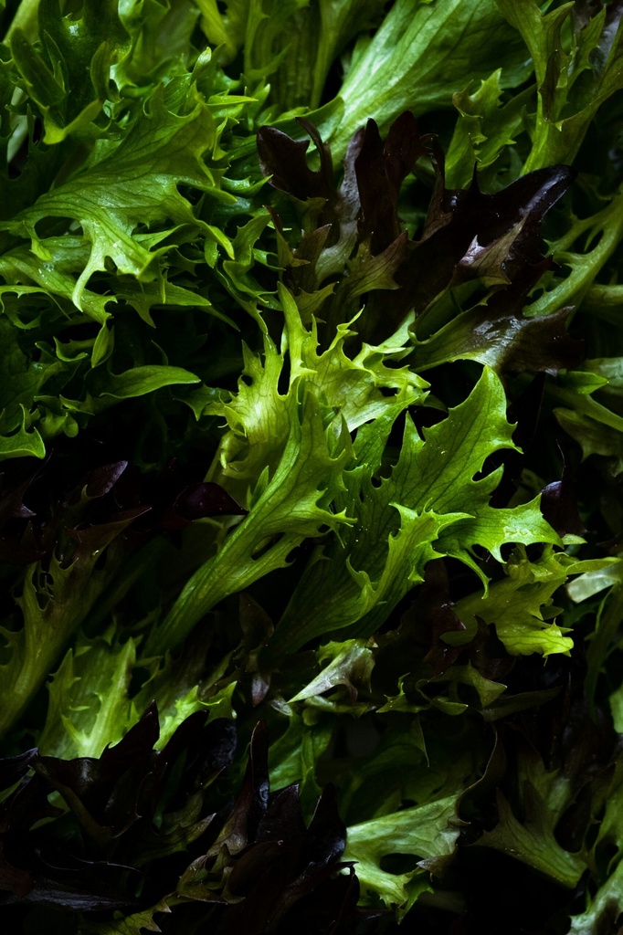 Asia Salat