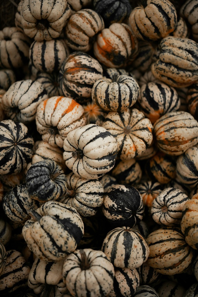 Kürbis Festival