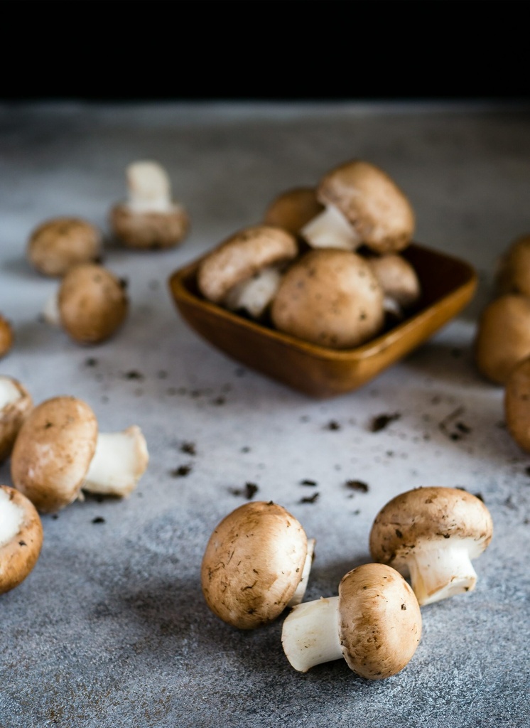 Champignon / Tyrolpilz