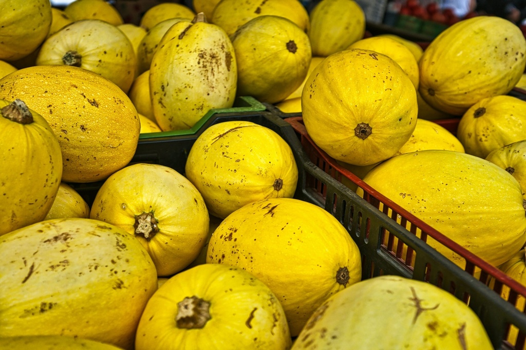 Spagettikürbis