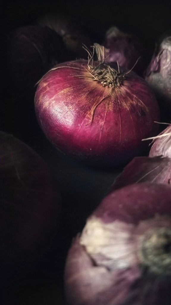 Rote Zwiebel