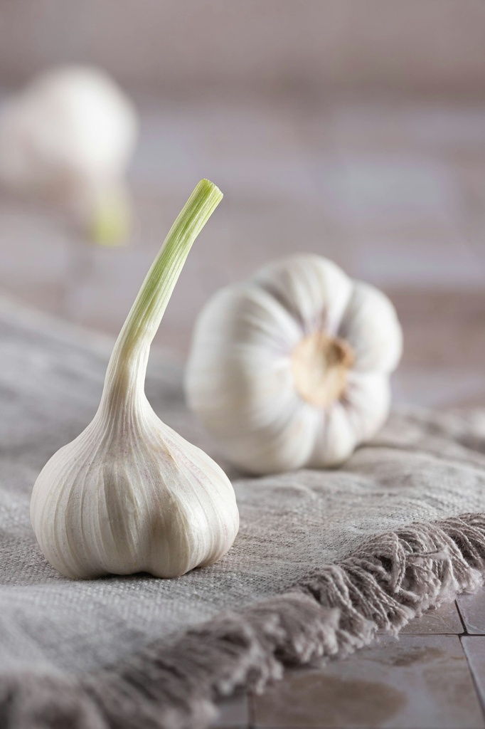 Jung Knoblauch