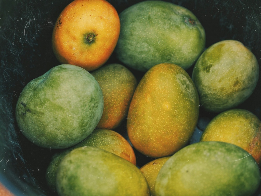 Mango