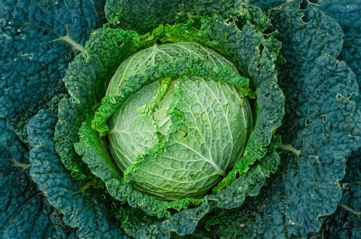 Kohl