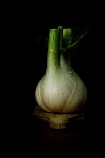 Fenchel