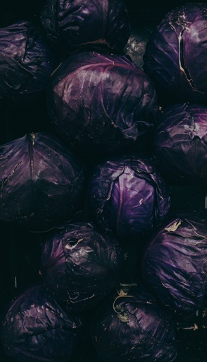 Rotkraut