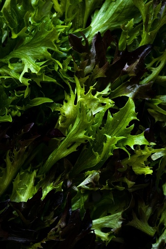 Asia Salat