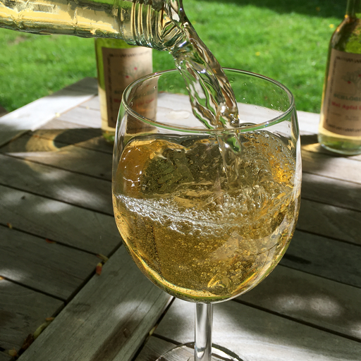Kleiner Cider