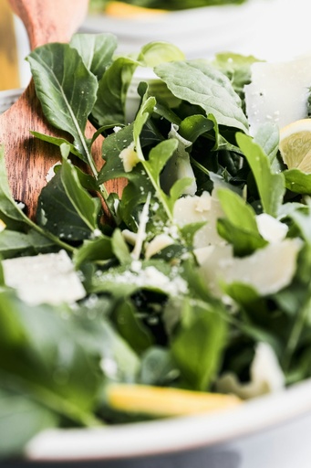Rucola