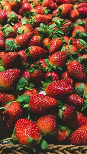 Erdbeeren