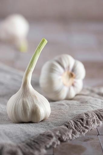 Jung Knoblauch