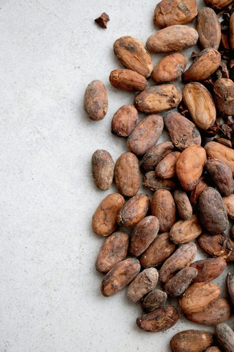 Kakaobohnen CauCawa roh, 150g