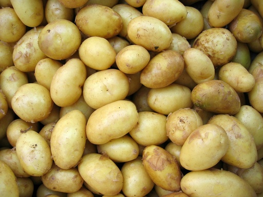 Heurige