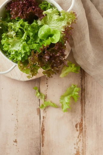 Salat Mischkulanz